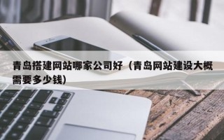 天水青岛搭建网站哪家公司好（青岛网站建设大概需要多少钱）